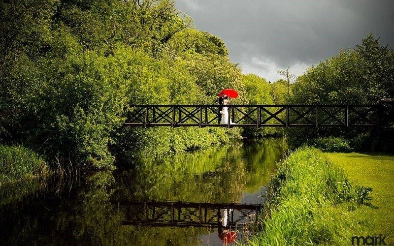 married couple on a bridge with umbrella