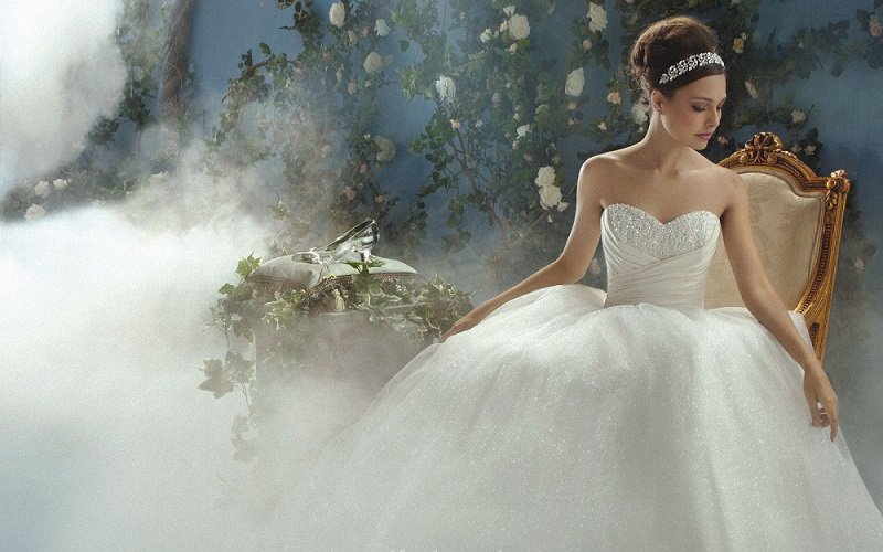 Disney Princess Wedding Dresses and Rings