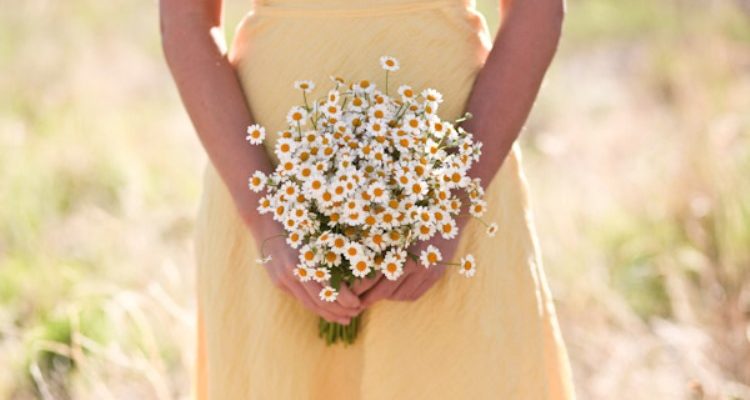 wild daisies wedding inspiration