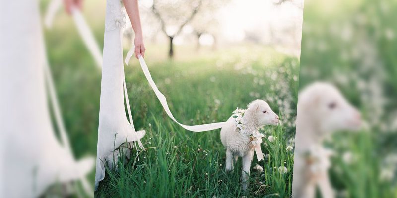 spring wedding ideas