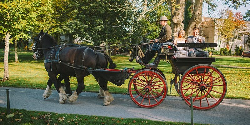 Real Irish Wedding