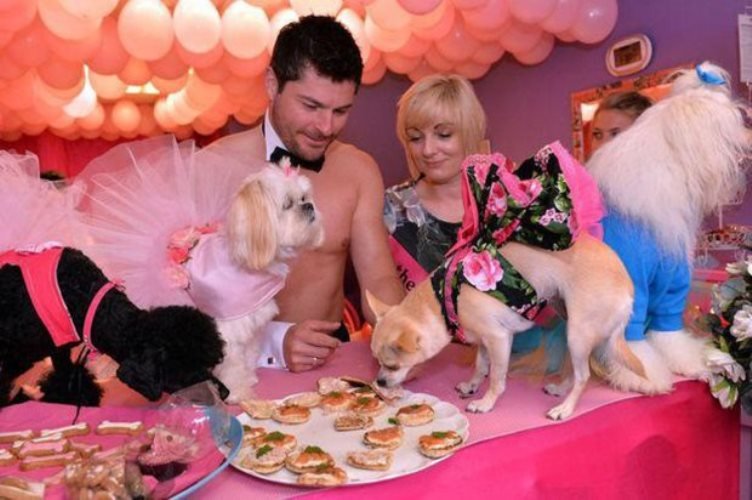 chihuahua has decadent hen do 2