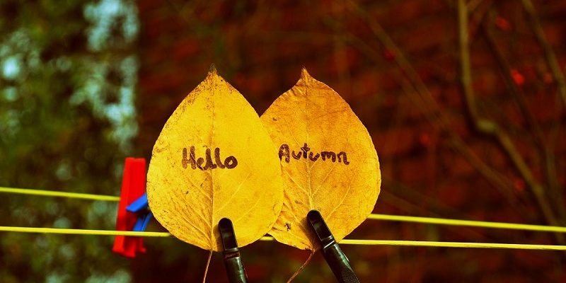 Autumnal wedding ideas 7