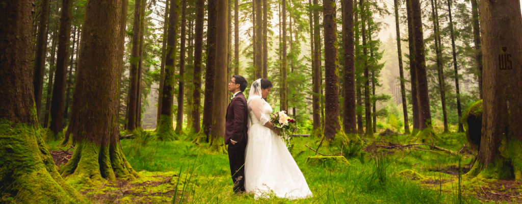 wedding storytellers