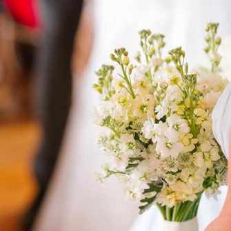 Pure Flowers of Distinction Flowers