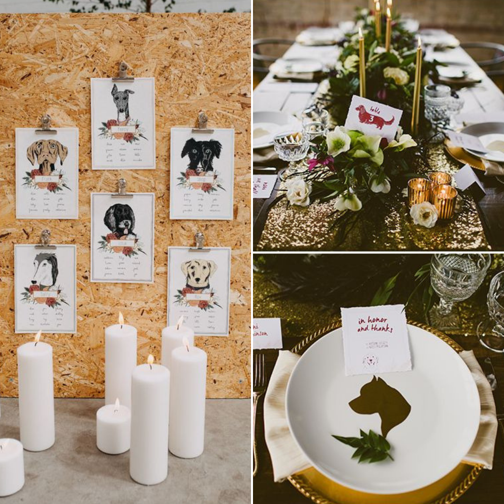 Pets-Included-In-Your-Wedding-Day