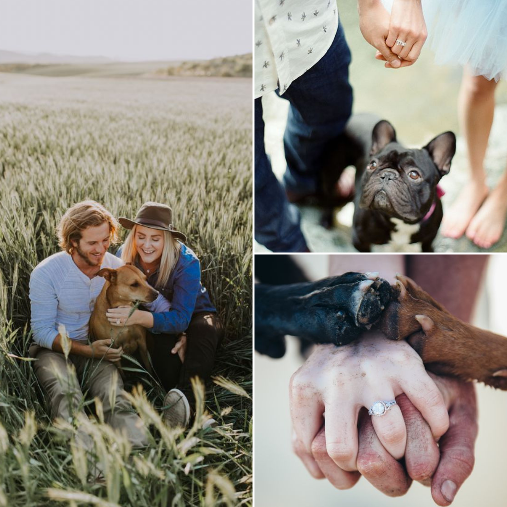 Pets-Included-In-Your-Wedding-Day