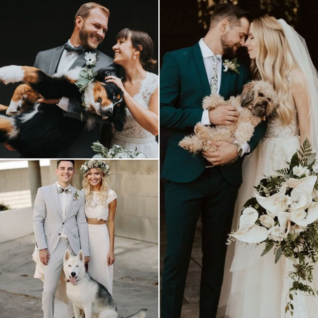 Pets-Included-In-Your-Wedding-Day
