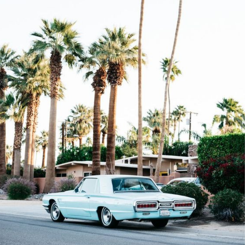 Instagram-Worthy-Honeymoon-Palm-Springs-California