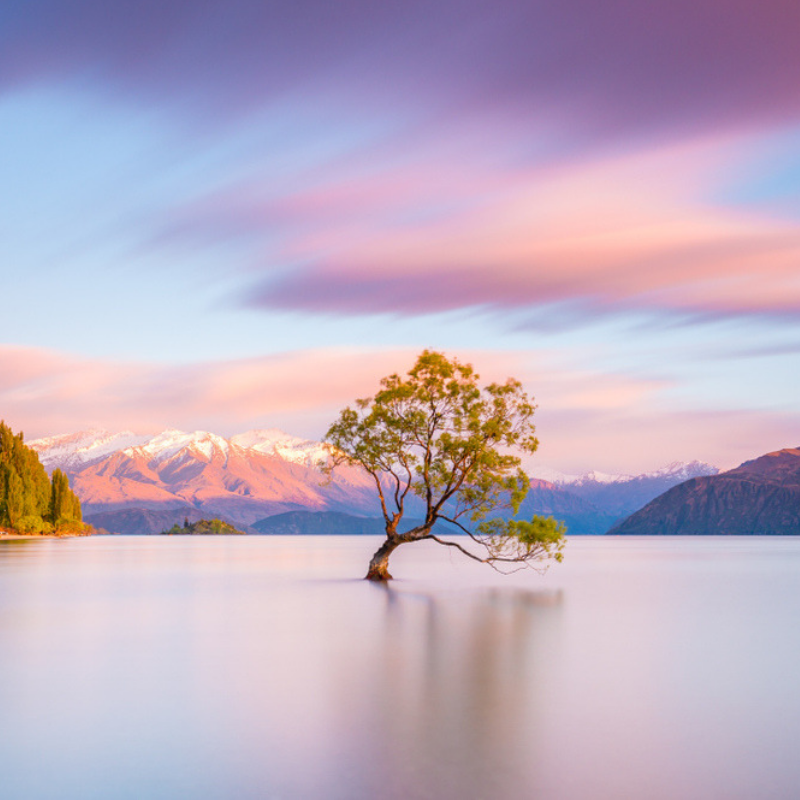 New-Zealand-Real-Life-Honeymoon-Jonny-and-Sharon