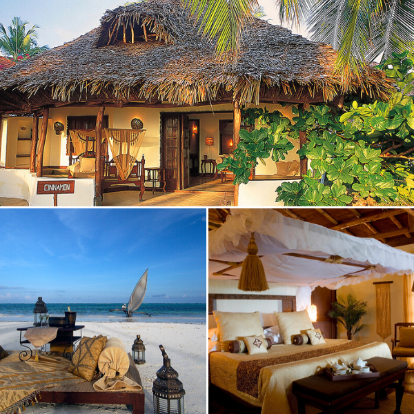 5_-Palms-Resort-Accommodation