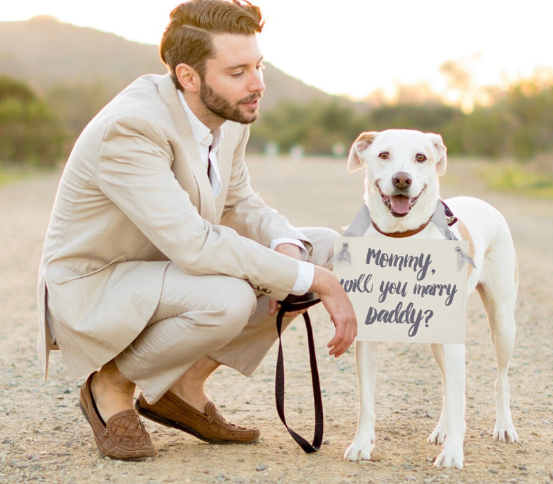 Cute proposal dog