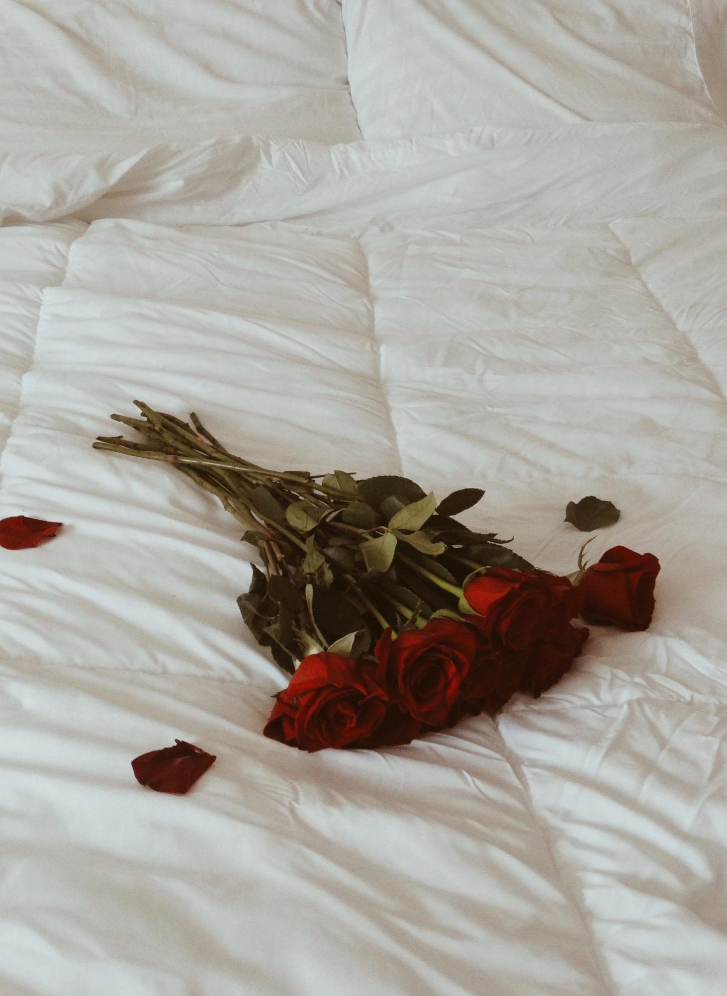 Roses on the bed