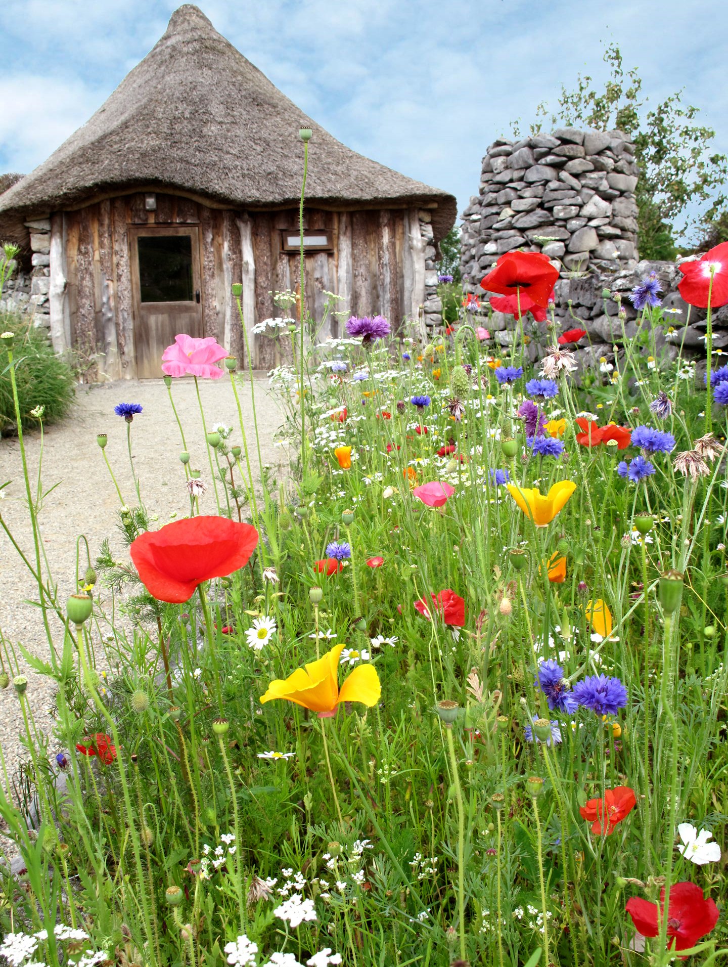 Brigit's Garden