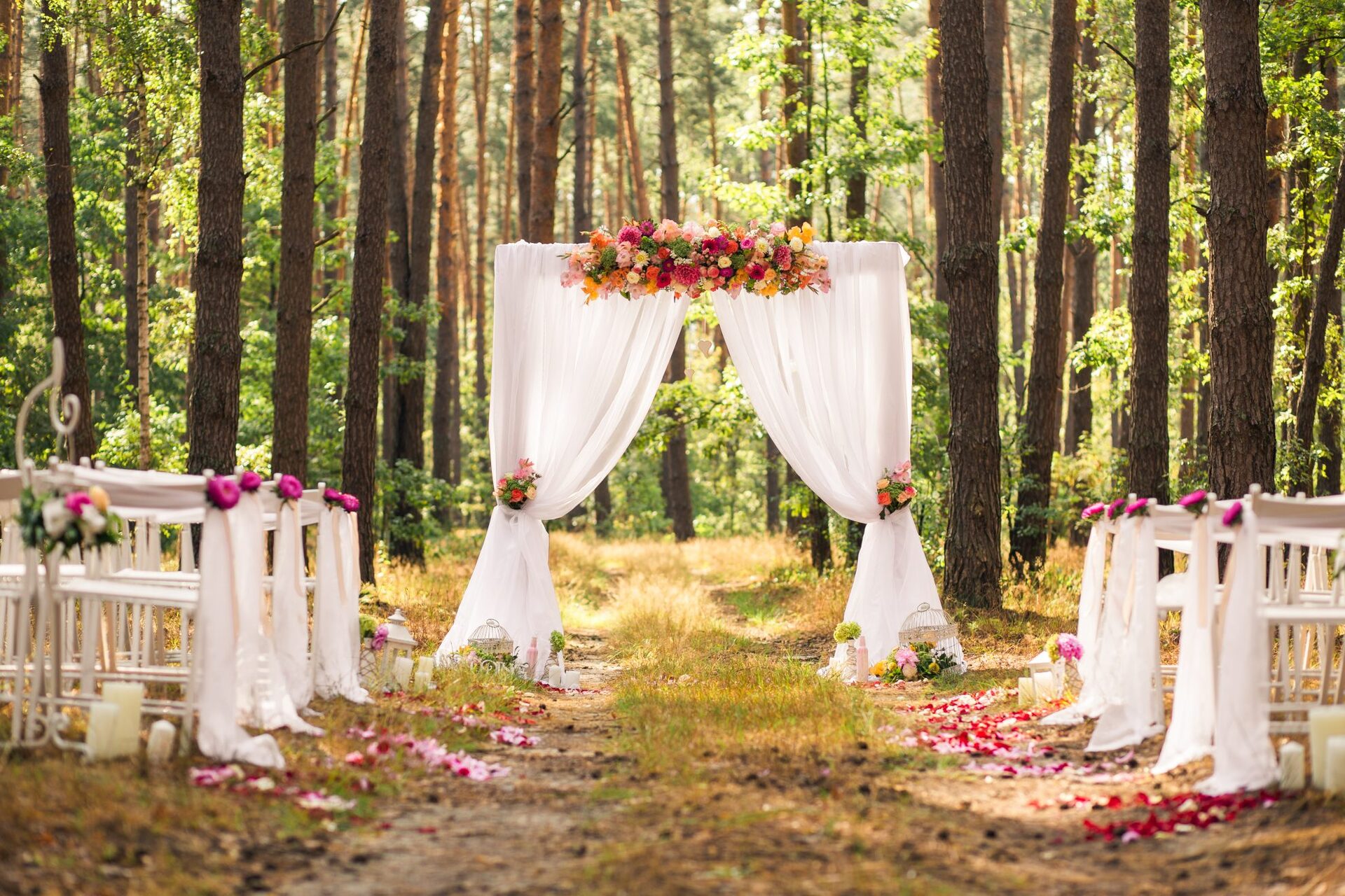 outdoor wedding