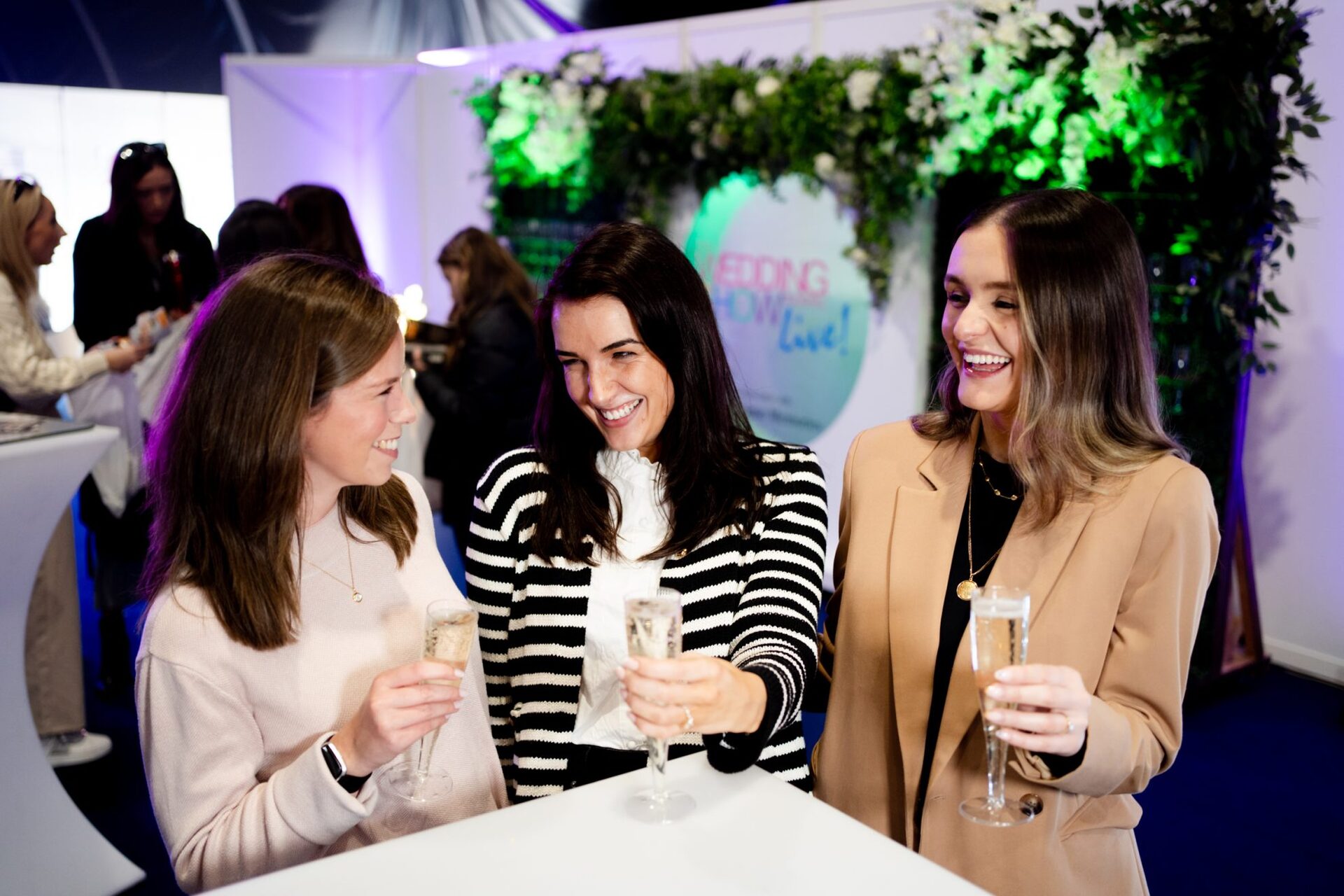 VIP Ticket Holders at The Wedding Journal Show